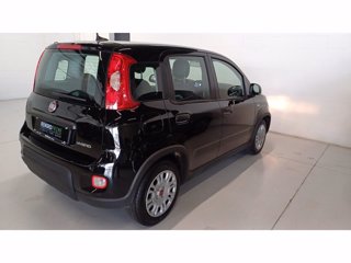 FIAT Panda 1.0 firefly hybrid s&s 70cv 5p.ti