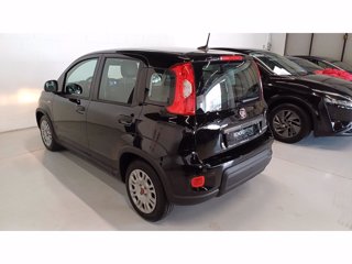 FIAT Panda 1.0 firefly hybrid s&s 70cv 5p.ti
