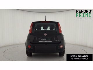 FIAT Panda 1.0 FireFly Hybrid 70cv S&S 5p.ti