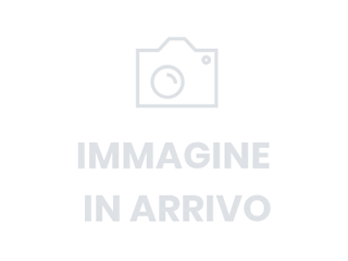 RENAULT kangoo express 1.5 dci 95cv Blue Ice E6d-temp