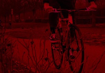 600X450 IRD DOES RENORD